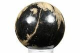 Petrified Wood (Tropical Hardwood) Sphere - Indonesia #266114-1